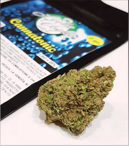 Cannatonic conf. da 2 gr